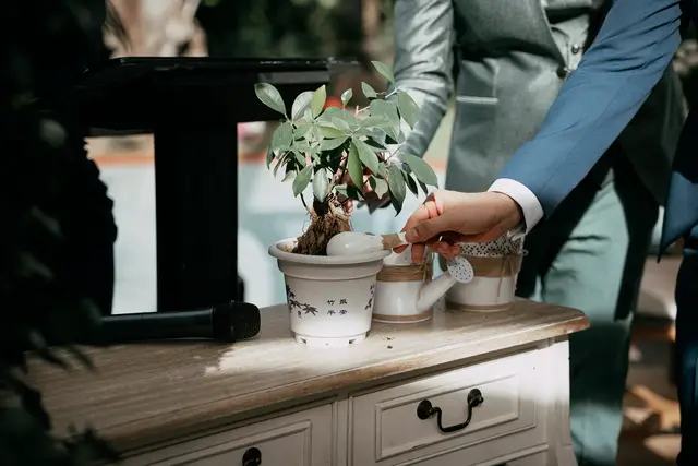 Reportaje boda Jose Sergio Rex Natura LGTB ceremonia detalles portada