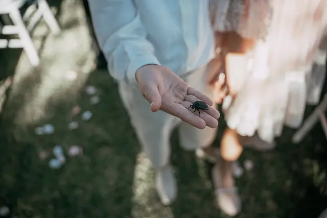 Fotografía de boda en Venta La Chata detalles