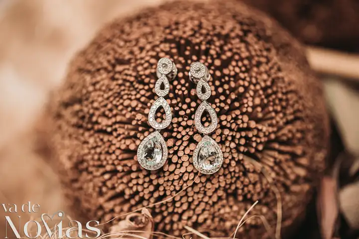 Reportaje de boda jardines la Cartuja Monica Hector Mayo 2023 detalles