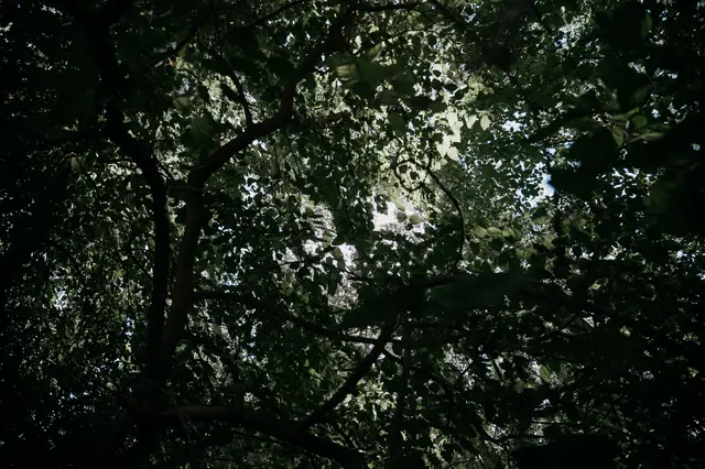 reportaje boda molino galan pepa joel detalles