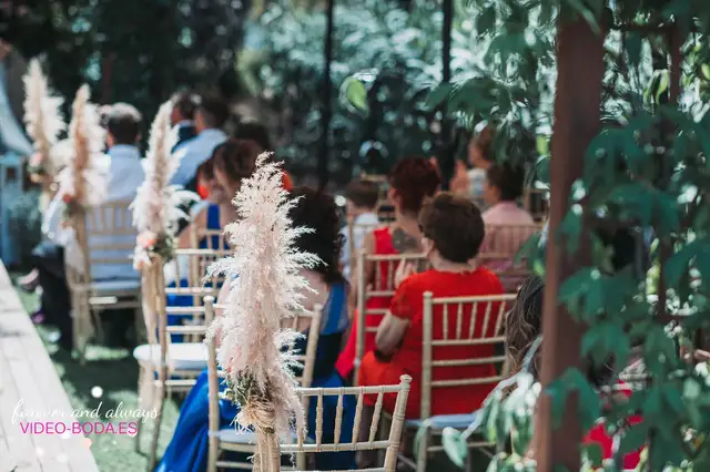 Reportaje boda tamara Asis Sauces Olimar Chiva ceremonia detalles