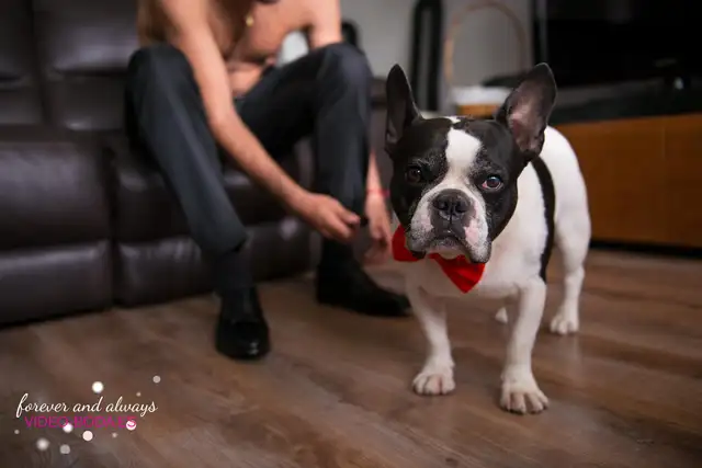 reportaje fotos Laura Yuri valencia