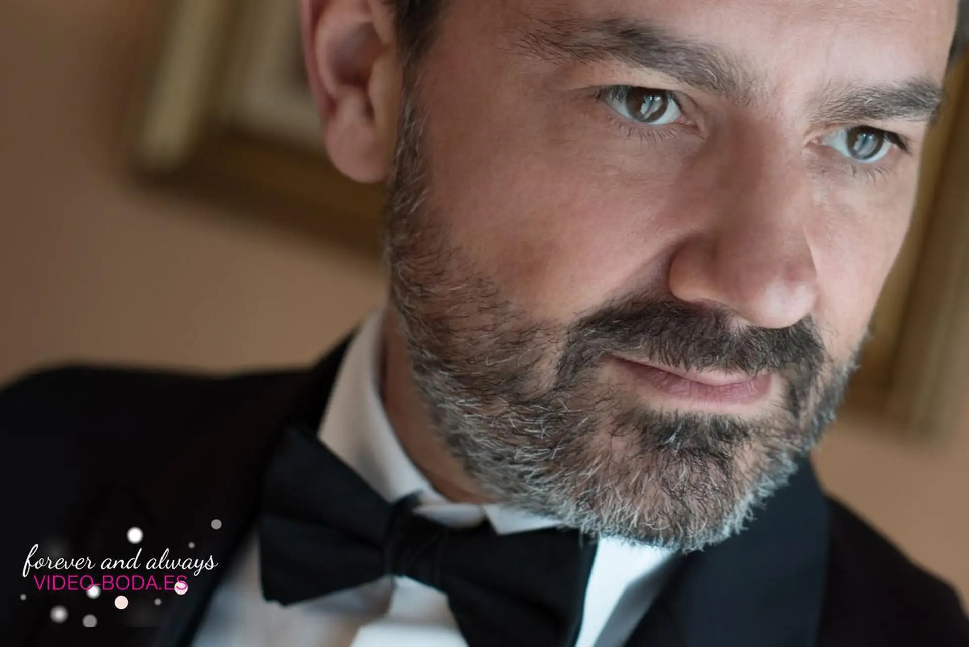 boda villadelia internacional