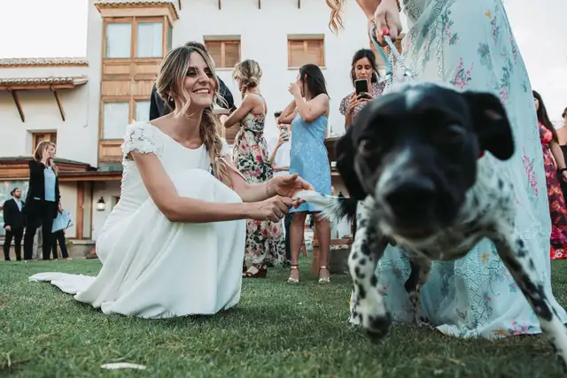 boda huerto by bonho cuca marcos coctel portada