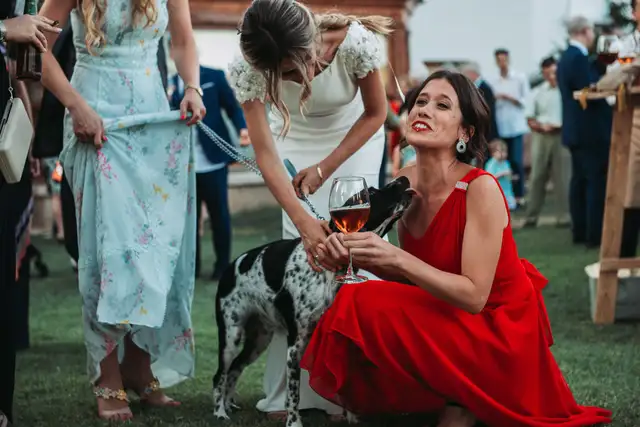 boda huerto by bonho cuca marcos coctel