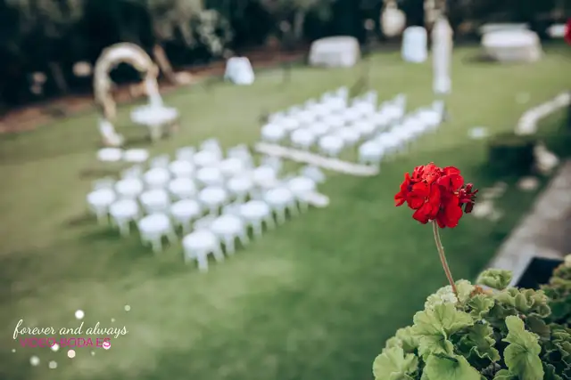 fotografía boda moli Canysset