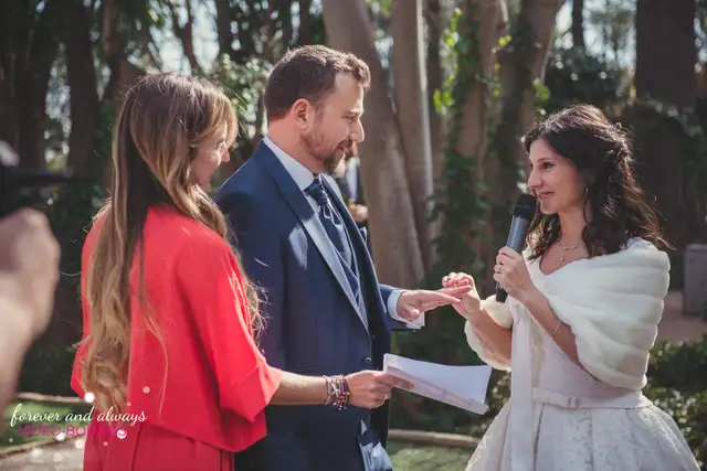 fotografías anillos de la boda