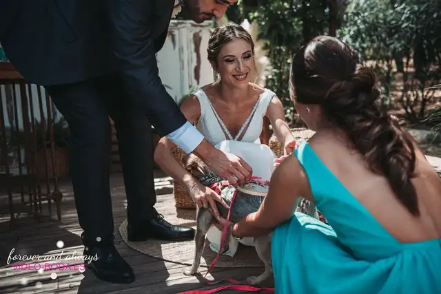 Reportaje boda tamara Asis Sauces Olimar Chiva ceremonia