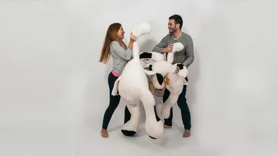 fotografías invitación de boda Aldamar